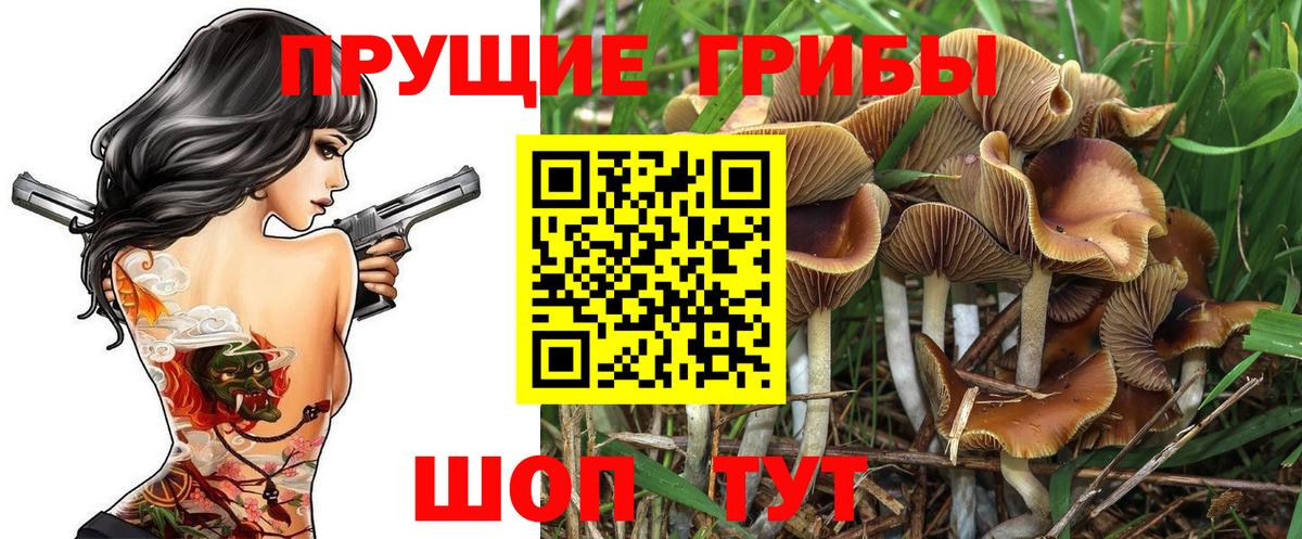 Псилоцибиновые грибы мухоморы Жуковский
