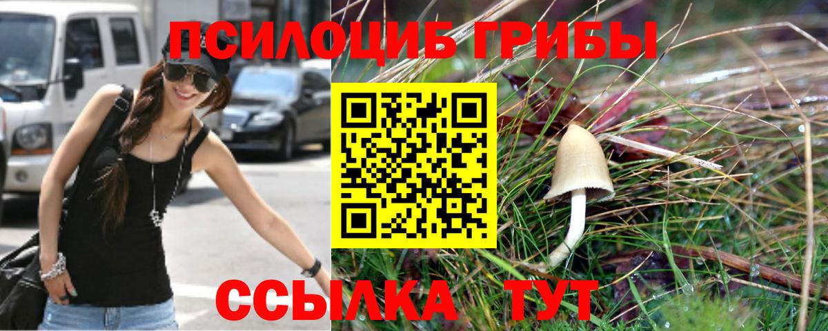 Галлюциногенные грибы мицелий  Галлюциногенные грибы MAGIC MUSHROOMS  Вход с VPN  Жуковский 
